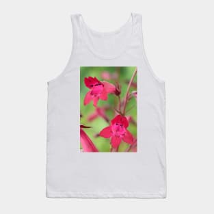 Penstemon  &#39;Andenken an Friedrich Hahn&#39;  &#39;Garnet&#39;  Beard-tongue Tank Top